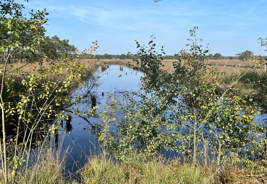 23-09-11 13-52-31 6698